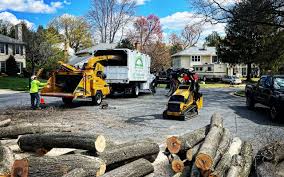  Vadnais Heights, MN Tree Removal Pros