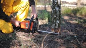 Lawn Grading and Leveling in Vadnais Heights, MN