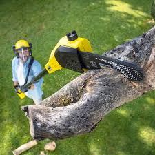 Best Lawn Drainage Solutions  in Vadnais Heights, MN